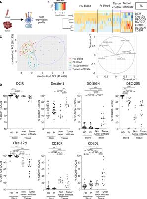 Unique CLR expression patterns on circulating and tumor-infiltrating DC subsets correlated with clinical outcome in melanoma patients